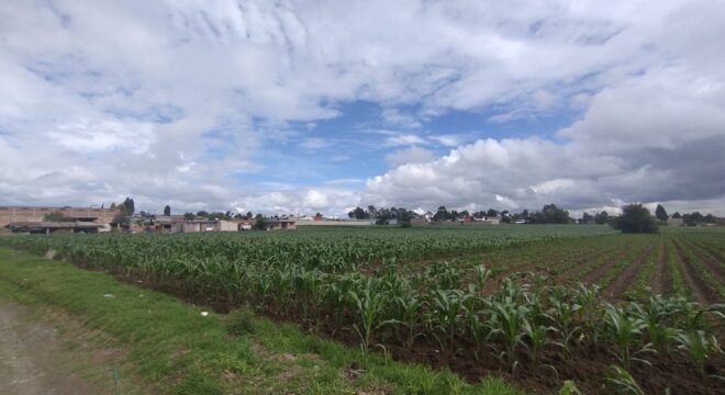 TERRENO EN VENTA EN METEPEC, ESTADO DE MEXICO