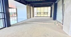 OFICINAS EN RENTA, LEONA VICARIO, METEPEC