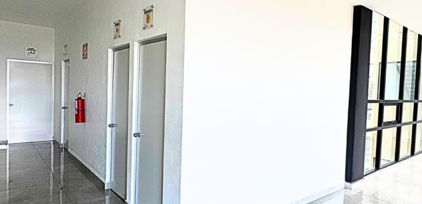 OFICINAS EN RENTA, LEONA VICARIO, METEPEC