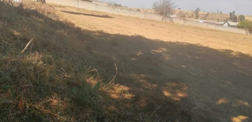Terreno en venta en Tianguistenco Estado de México