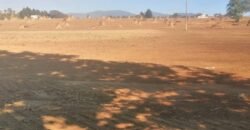 Terreno en venta en Tianguistenco Estado de México