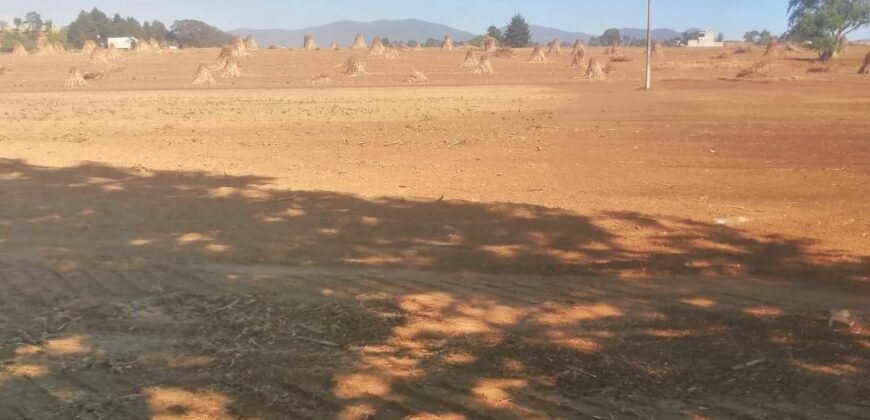 Terreno en venta en Tianguistenco Estado de México