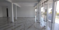 OFICINAS EN RENTA, BLVD AEROPUERTO, TOLUCA