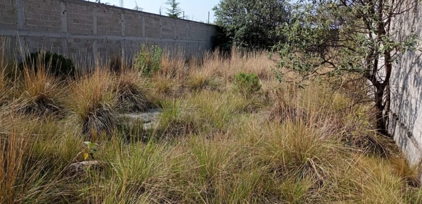 Terreno en venta en Cacalomacán, Estado de México
