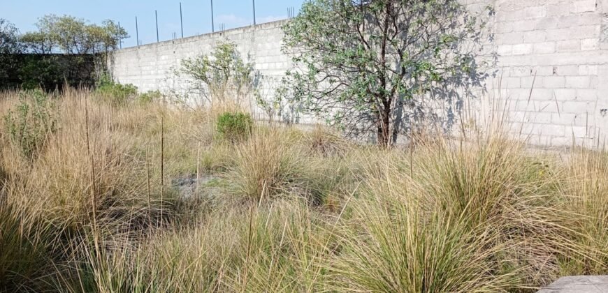 Terreno en venta en Cacalomacán, Estado de México