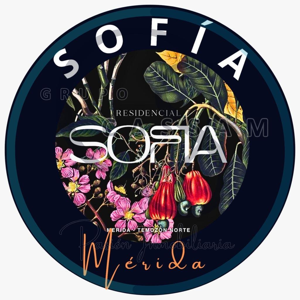 WhatsApp Image 2025-07-07 at 12.11.11 PM (10)