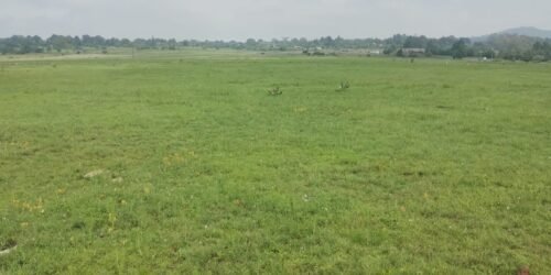 TERRENO EN VENTA EN JILOTEPEC TERRENO EN VENTA EN JILOTEPEC