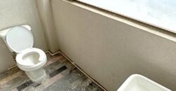 LOCAL EN RENTA EN TOLUCA CENTRO