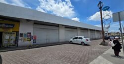 LOCALES EN RENTA FRENTE A ESTACIÓN DEL TREN ZINACANTEPEC LOCALES EN RENTA FRENTE A ESTACIÓN DEL TREN ZINACANTEPEC