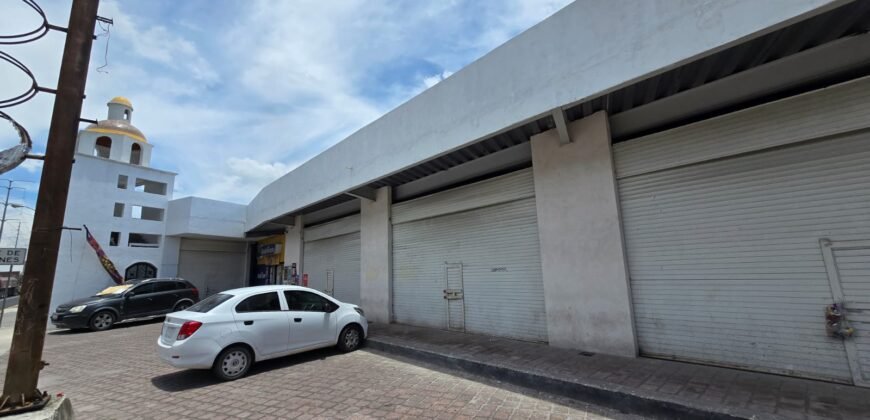 LOCALES EN RENTA FRENTE A ESTACIÓN DEL TREN ZINACANTEPEC