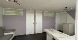 LOFTS EN RENTA EN SAN BUENAVENTURA, TOLUCA