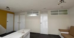 LOFTS EN RENTA EN SAN BUENAVENTURA, TOLUCA