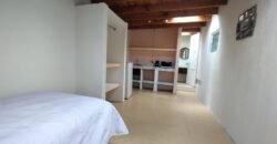 LOFTS EN RENTA EN SAN BUENAVENTURA, TOLUCA