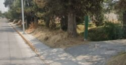 TERRENO EN VENTA EN ZINACATEPEC