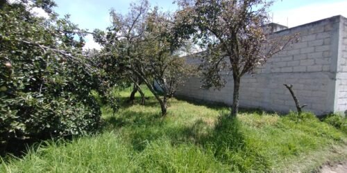 TERRENO EN VENTA EN SAN MATEO OTZACATIPAN, TOLUCA TERRENO EN VENTA EN SAN MATEO OTZACATIPAN, TOLUCA