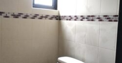 LOCALES Y OFICINAS EN RENTA EN TOLUCA