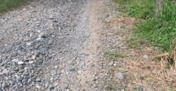 TERRENO EN VENTA EN CHACHALACAS VERACRUZ TERRENO EN VENTA EN CHACHALACAS VERACRUZ